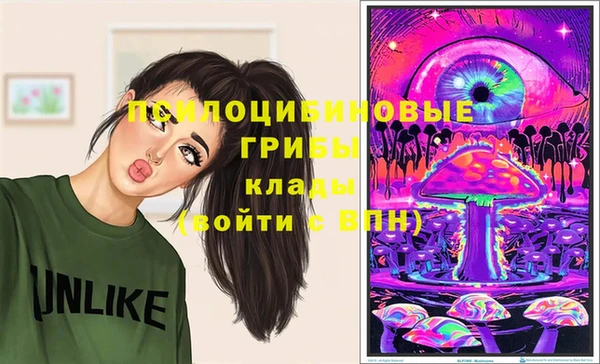 стаф Беломорск