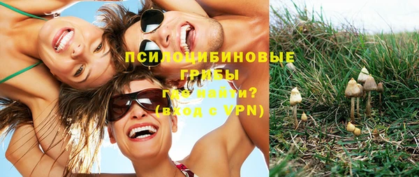 соль ск Горняк
