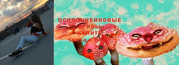 стаф Беломорск