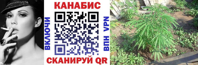 Бошки марихуана тримм  хочу наркоту  Гай 